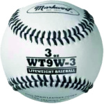 Weighted Leather Balls  9"